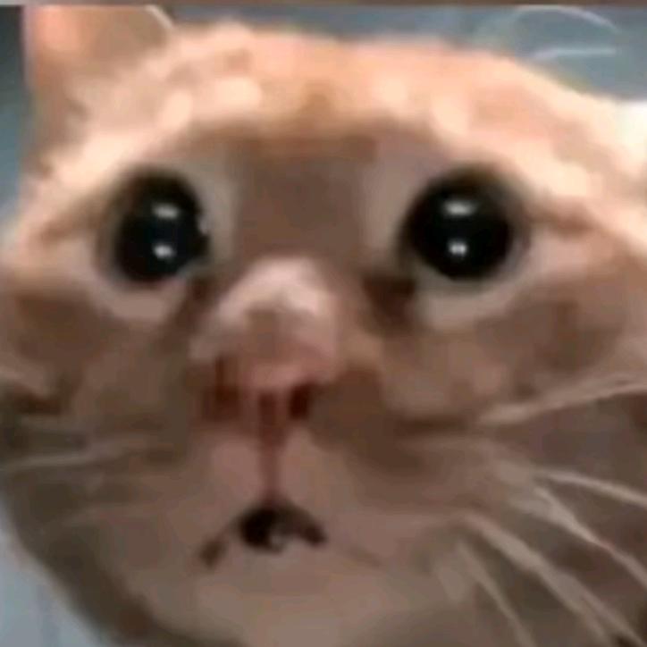 豆超