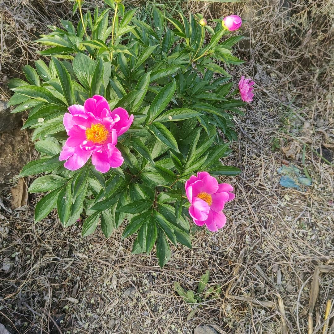 夏天更美好