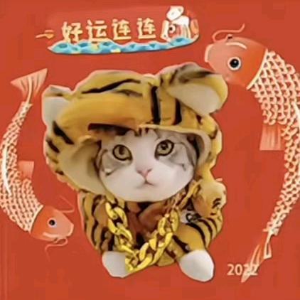 极时与你航行