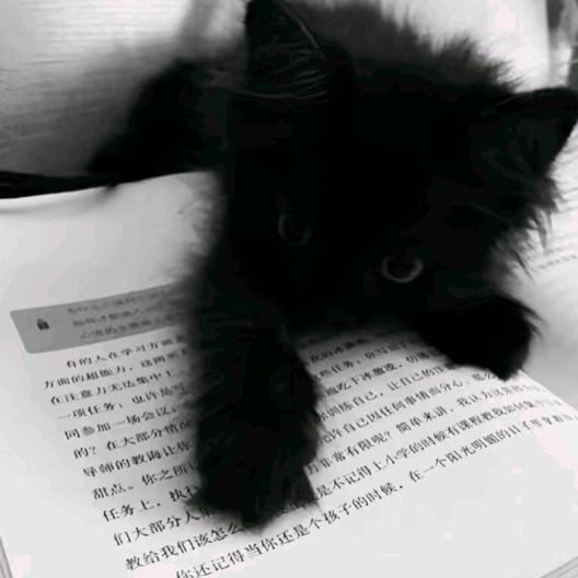 幻肢痛