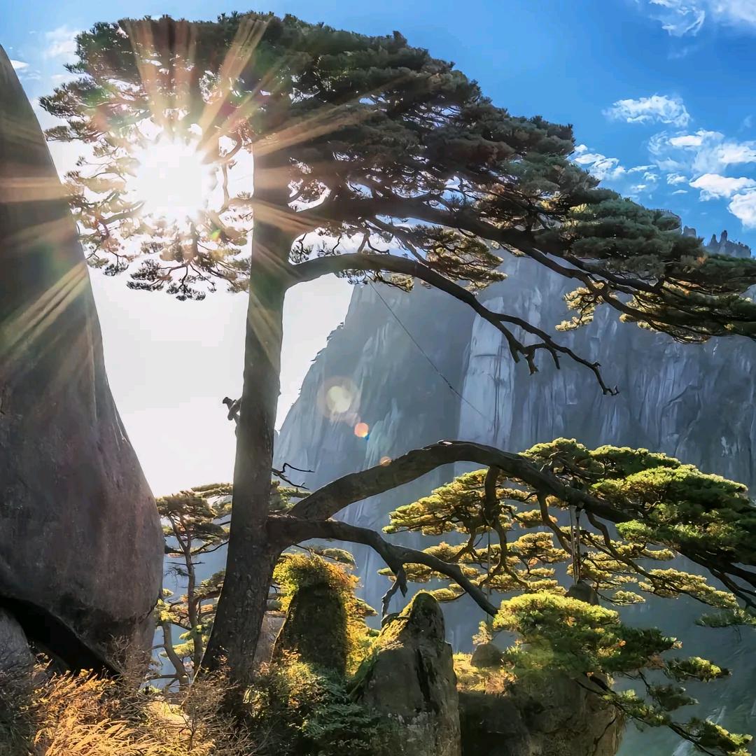 人生若只如初见