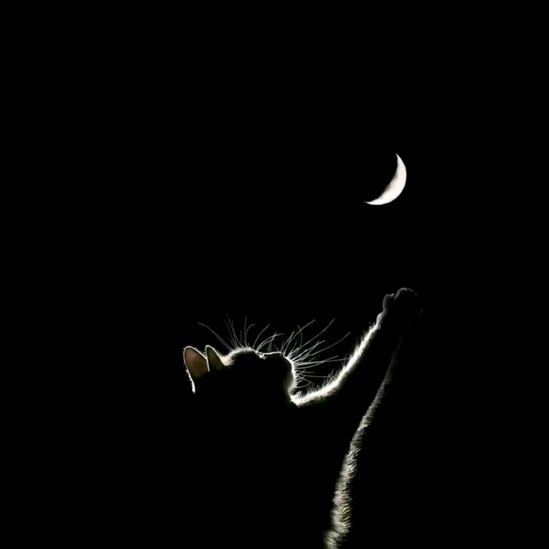 🌈²⁰²³/₀₈.₂₀