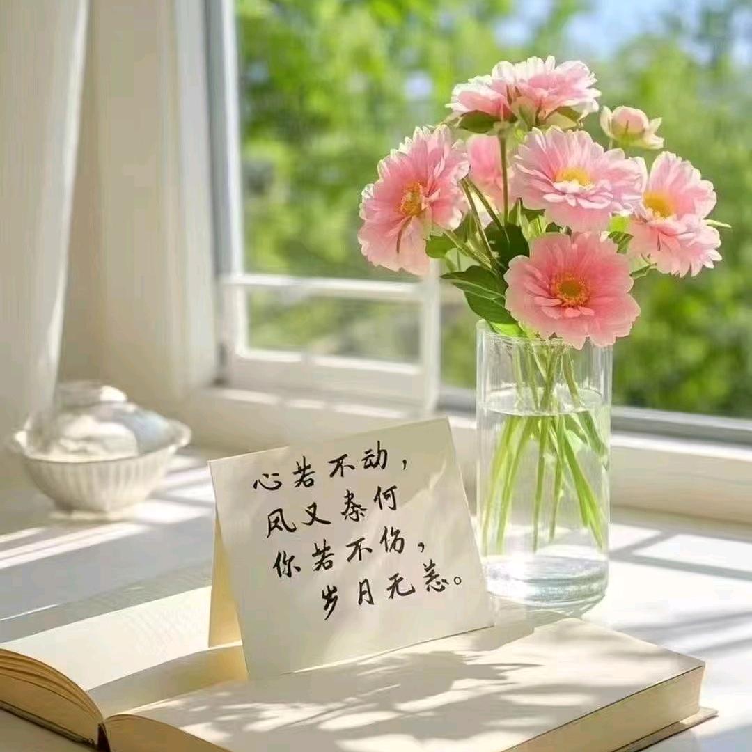 直播间那点儿事儿