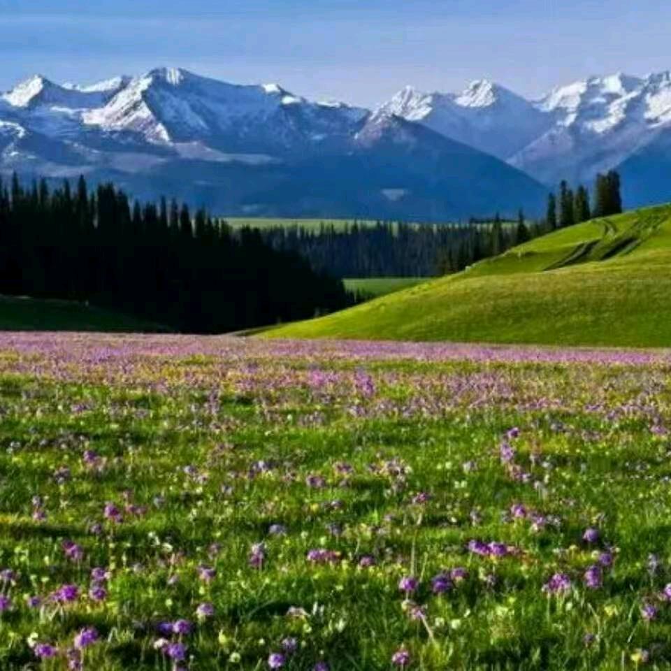 梦里的人❤️❤️