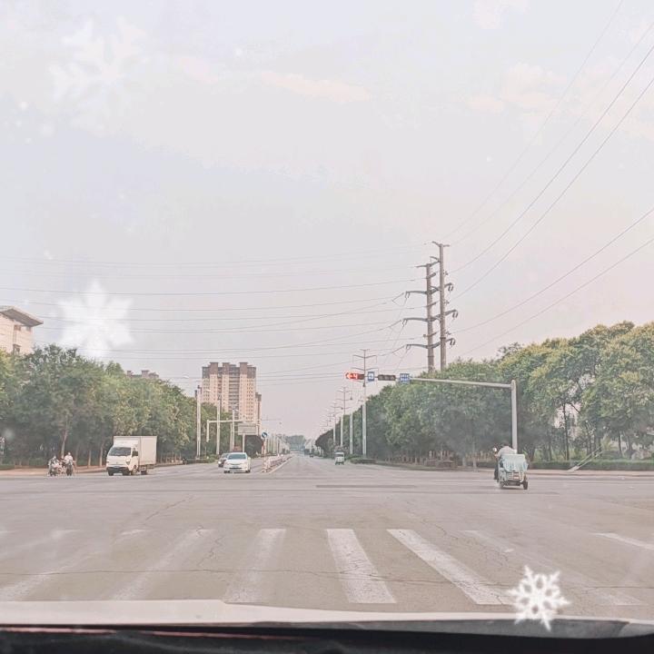 李子