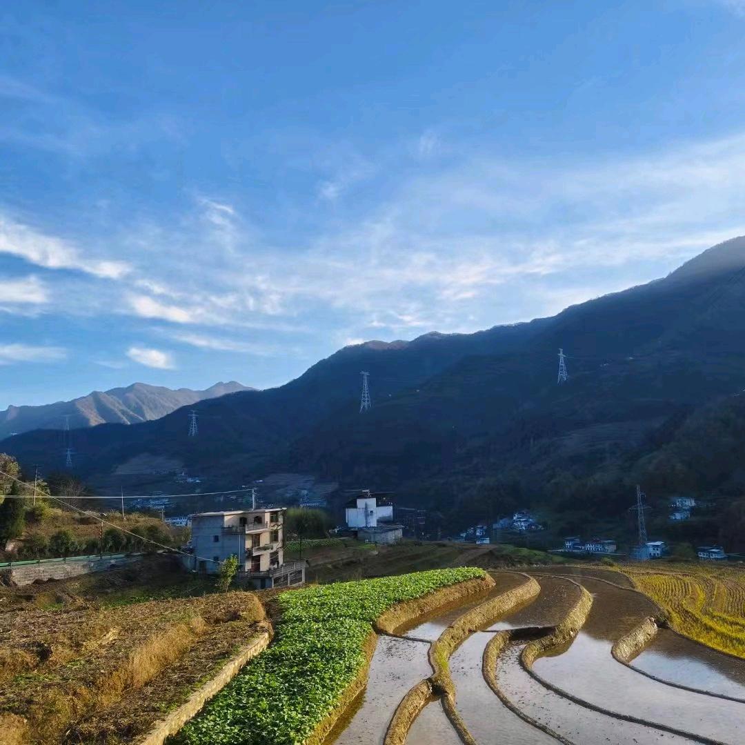 秦岭土货陈浩