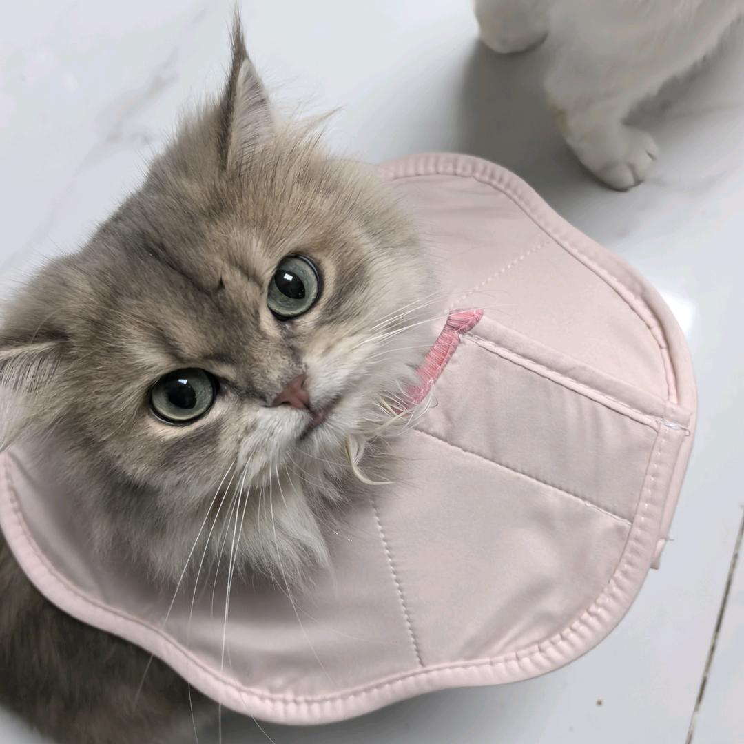 不漏风的小棉袄