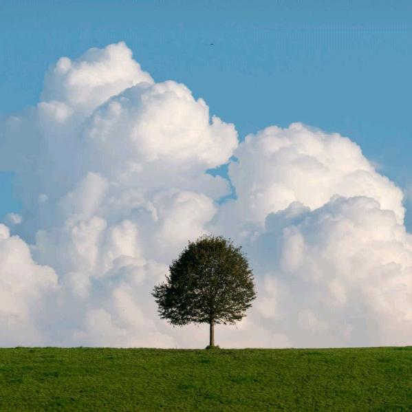 杨木🐏🐏🐏🔩⚙