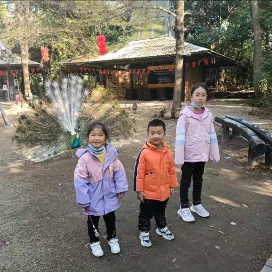 老陈