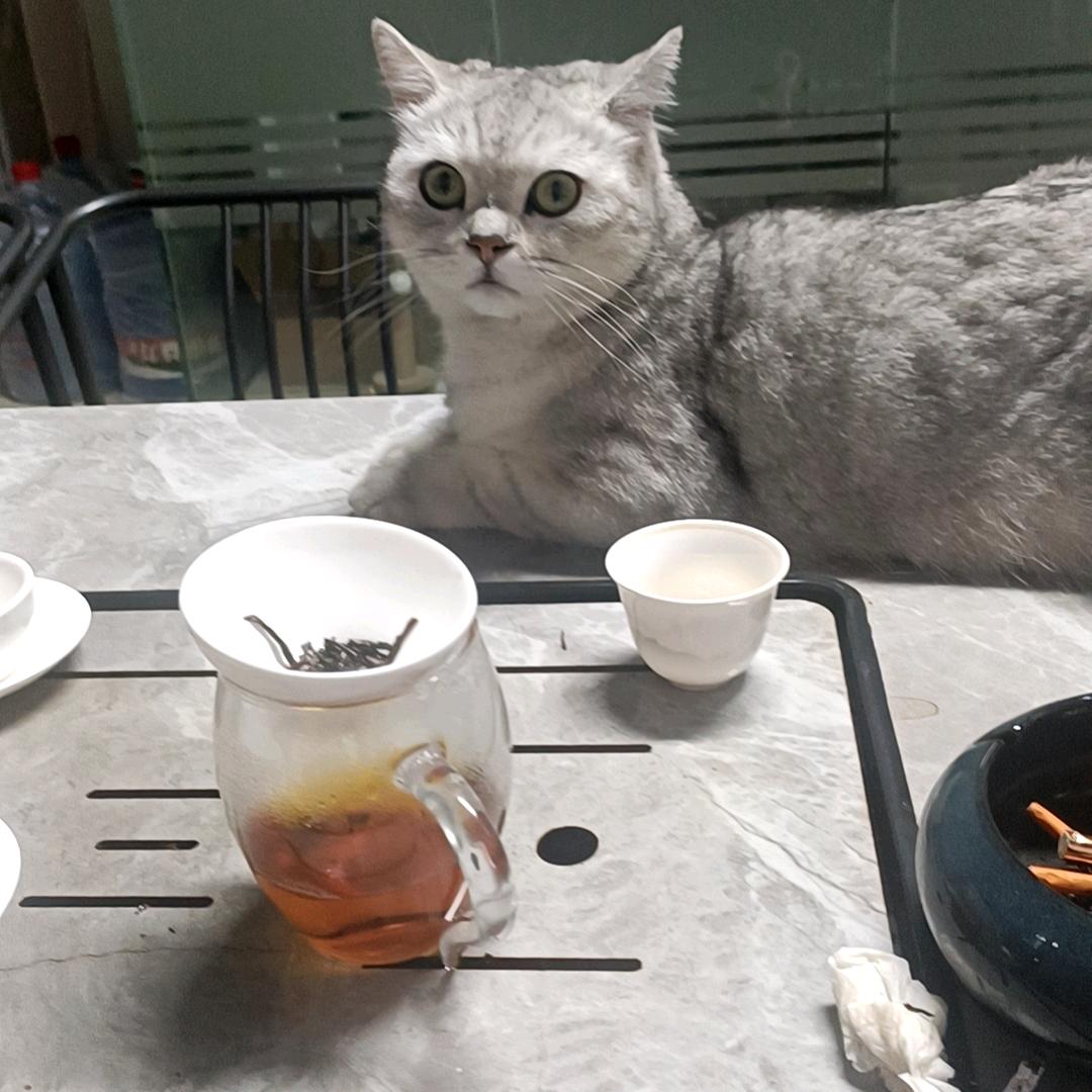 巧儿他爹
