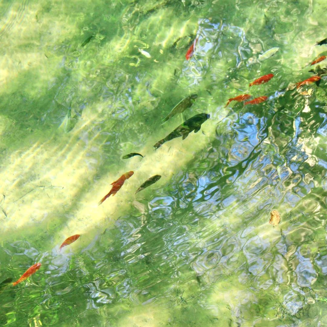 讲故事的懒大王