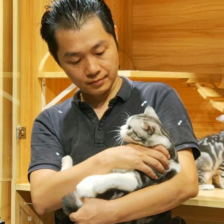猫大师