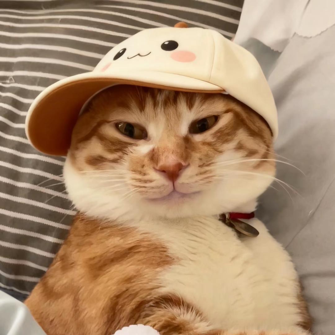 布丁加酸奶🐾
