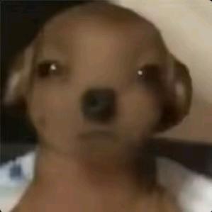 恍惚的小勤