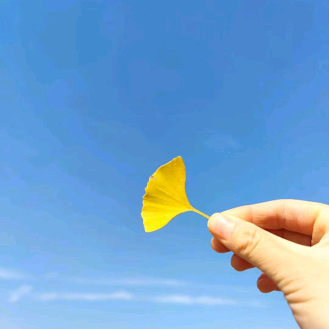 Zrr