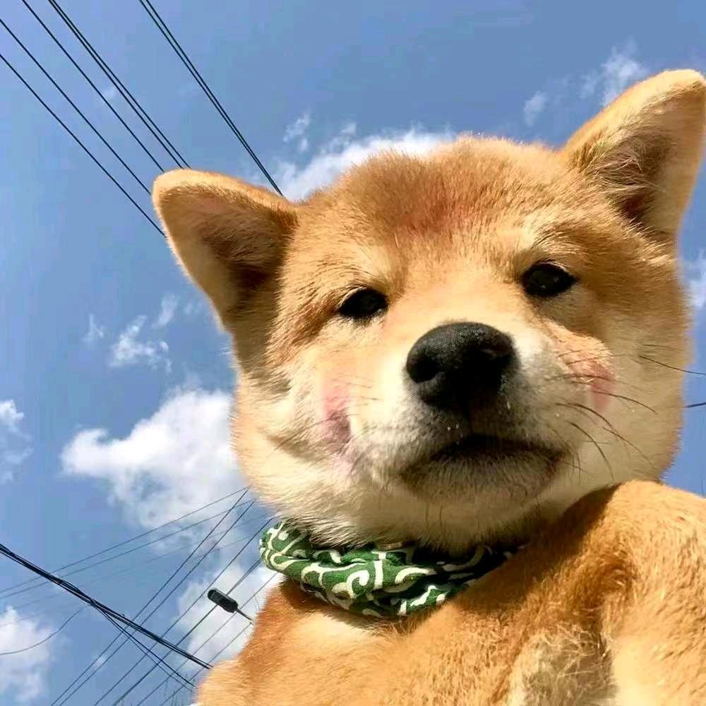 小路✌️