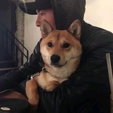 我擦嘞