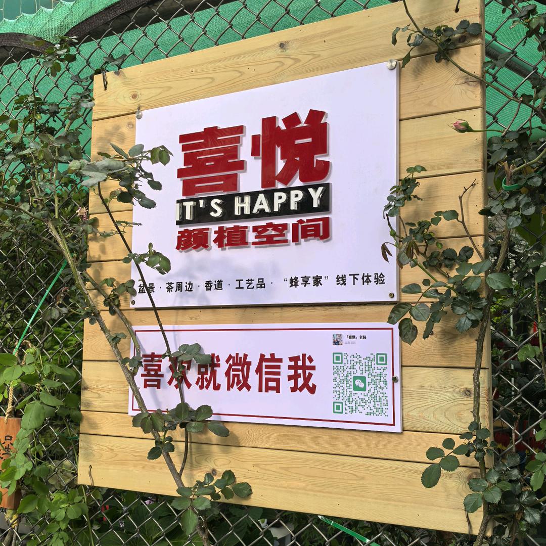 喜悦·颜植空间