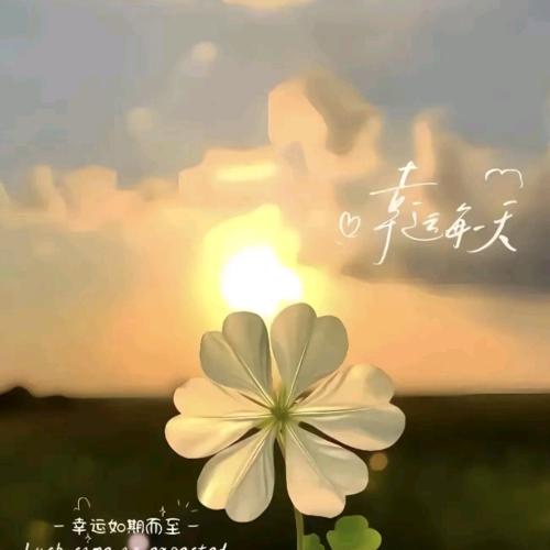 ღ᭄好运ꫛ加满꧔💞