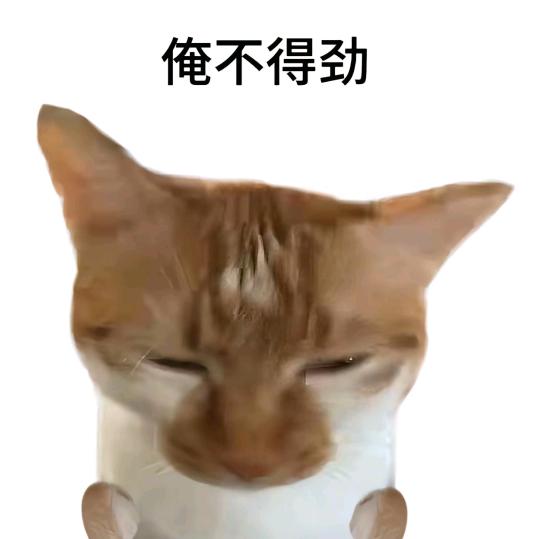 救人书页背刺我