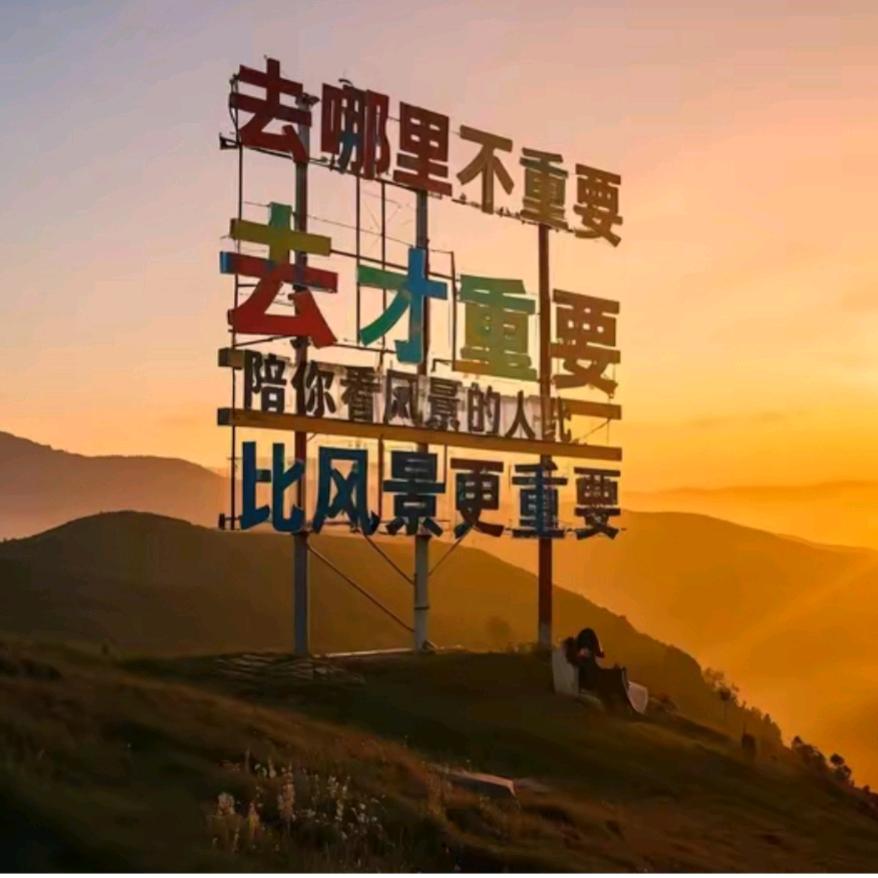 余生随心