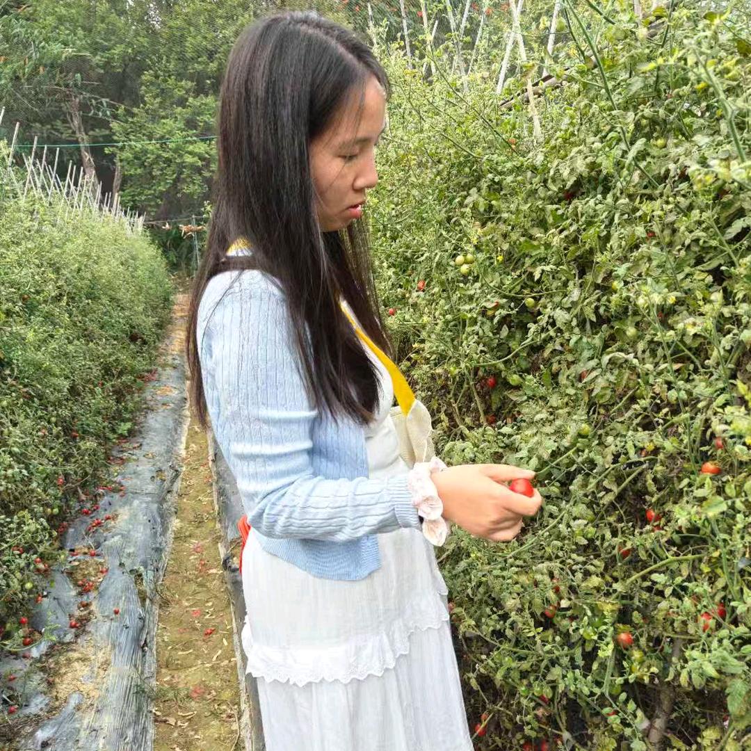 小辣椒
