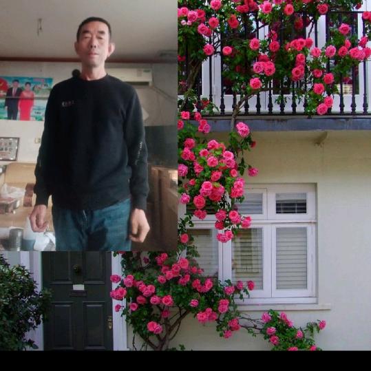 树下乘凉