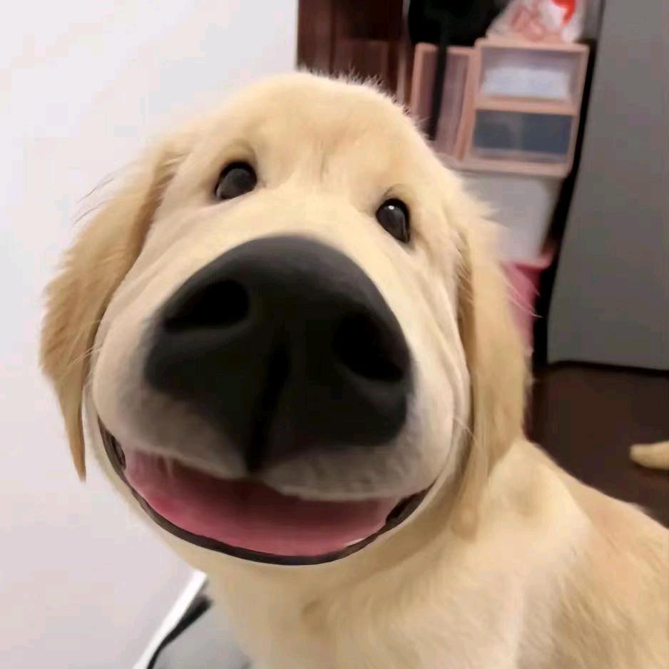 秋冬
