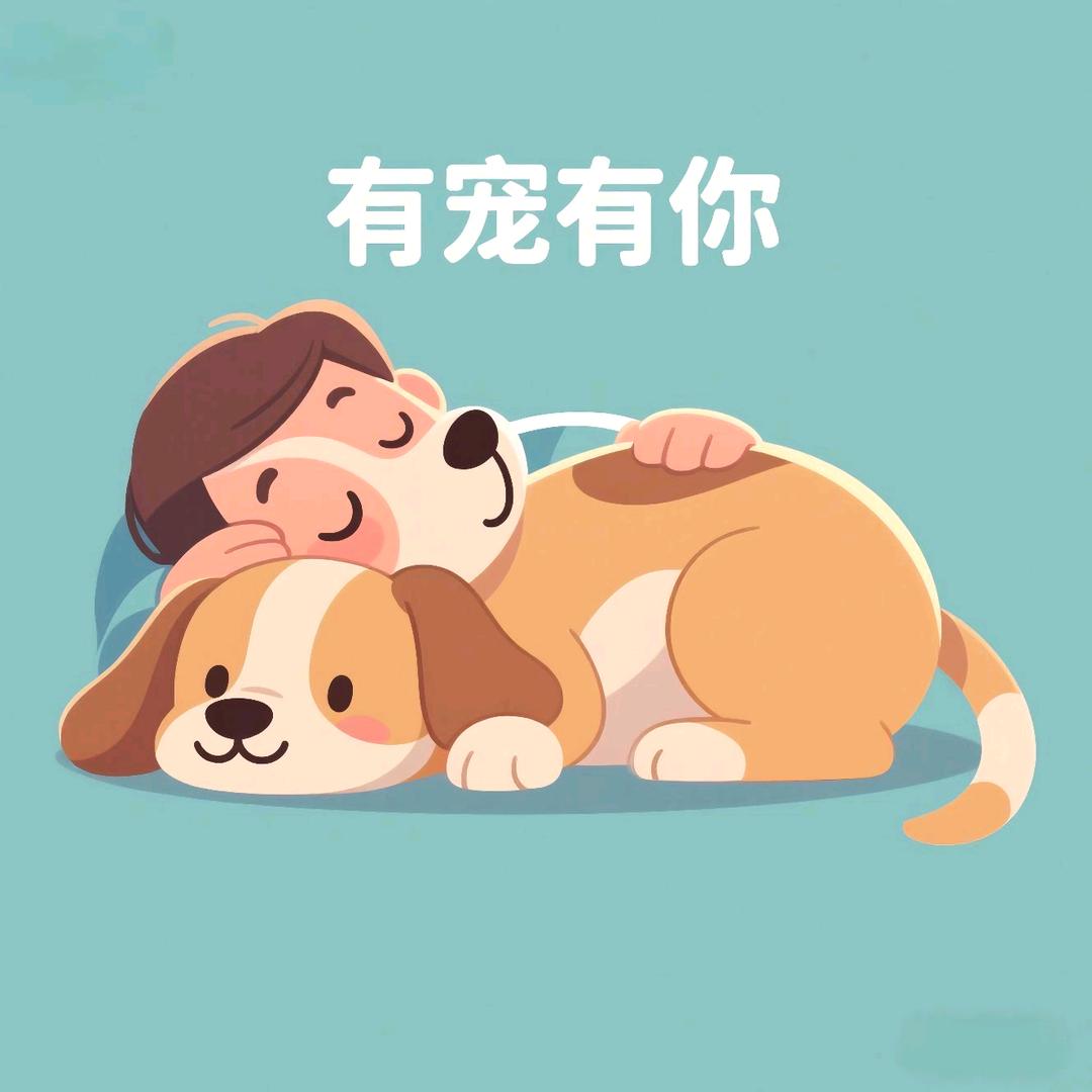 有宠有你