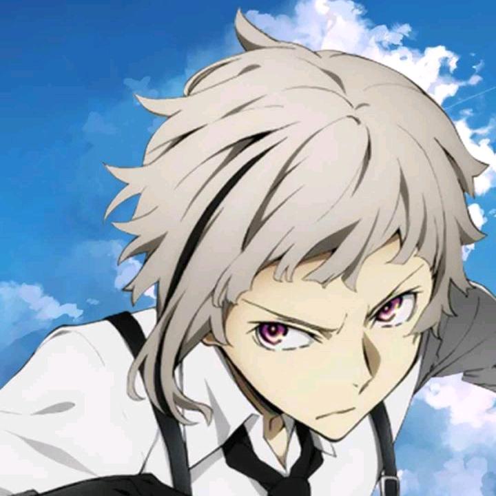 敦敦不会月卡哭