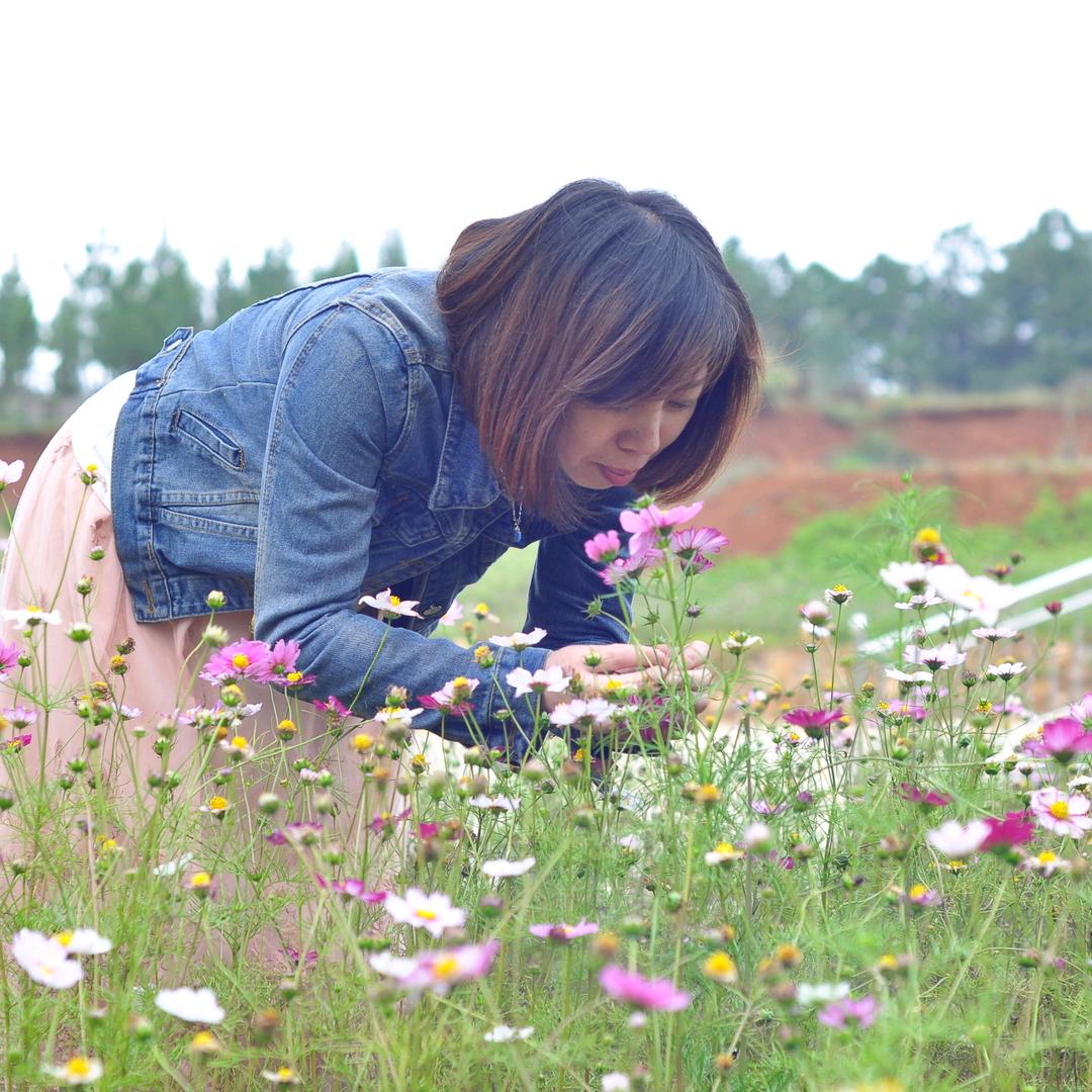 红太阳百货优选