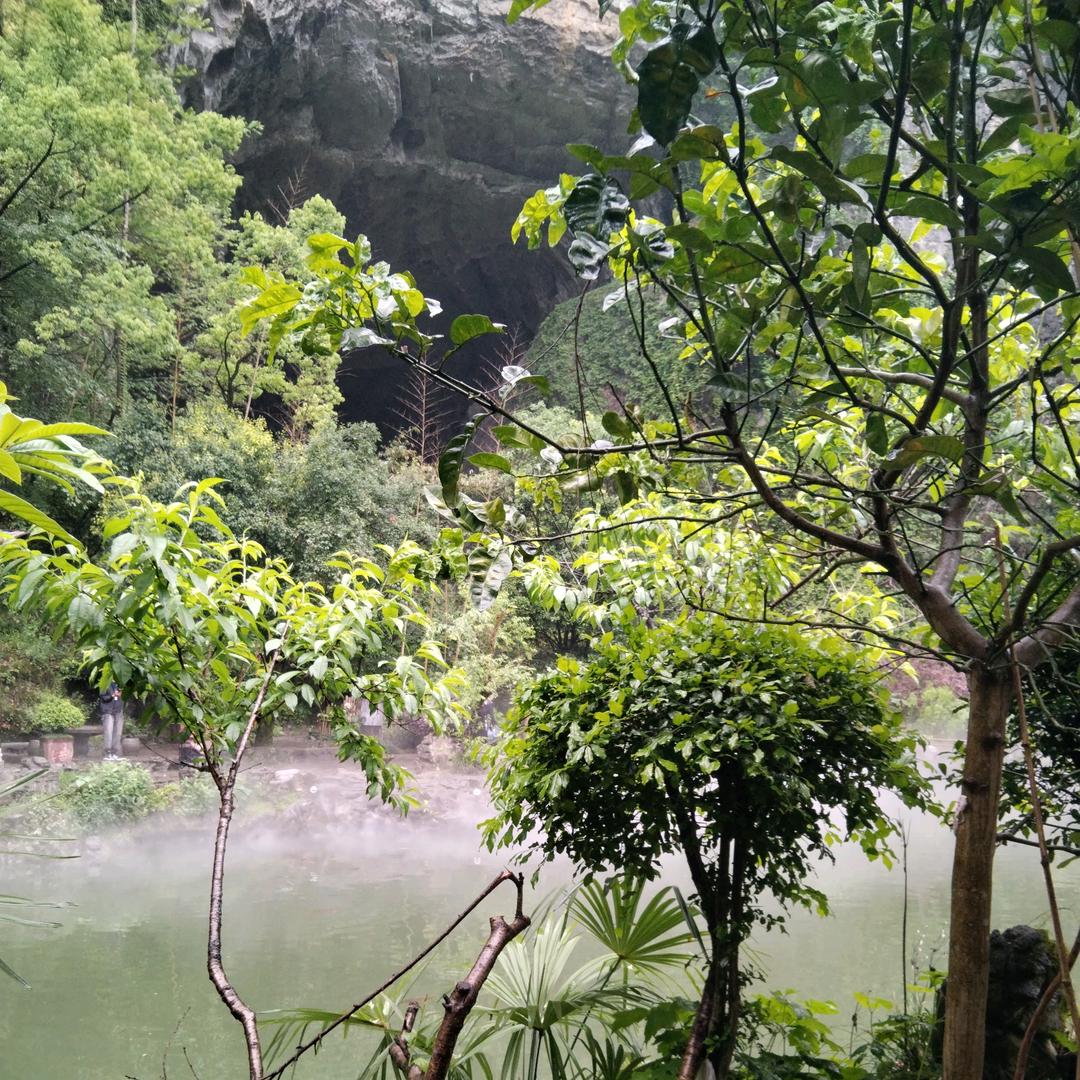 重庆莉莉