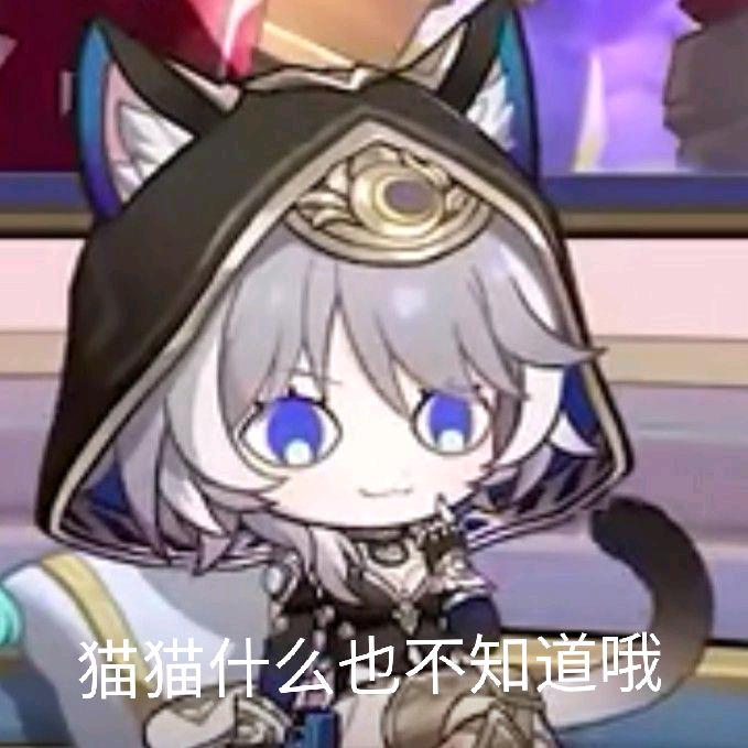 猫猫什么也不知道哦