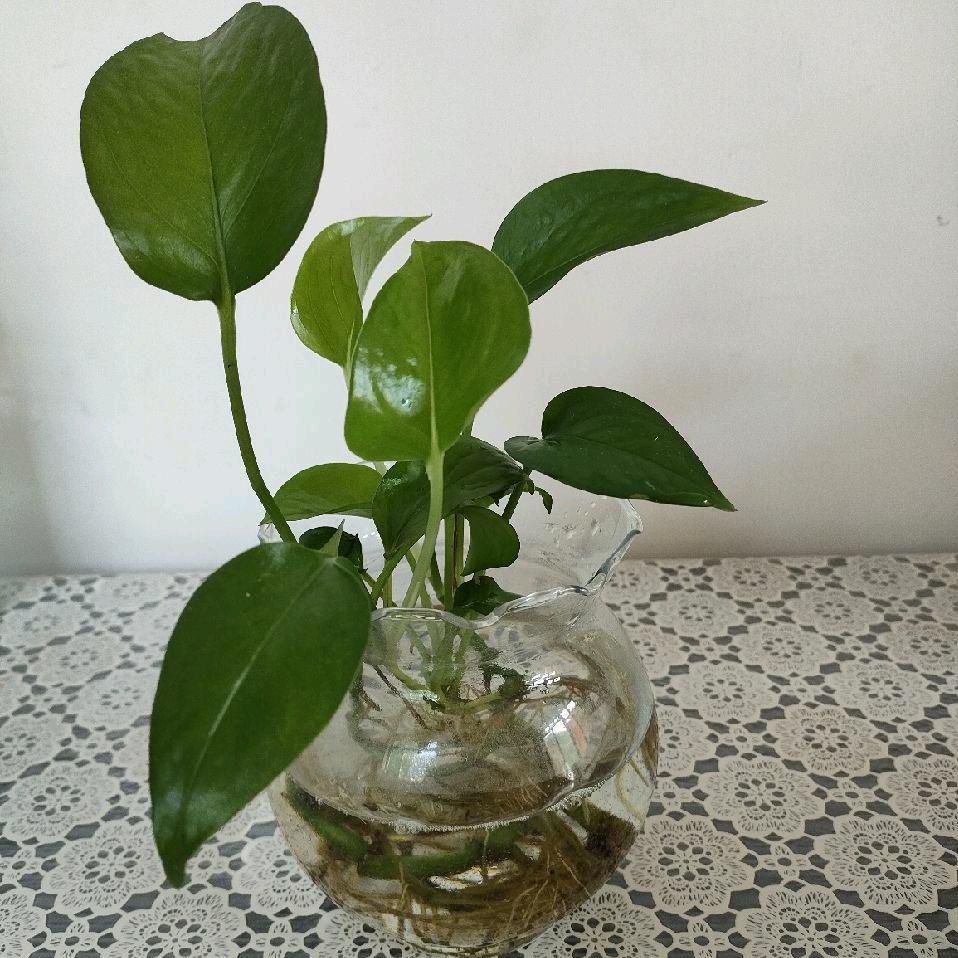 今非昔比，陈