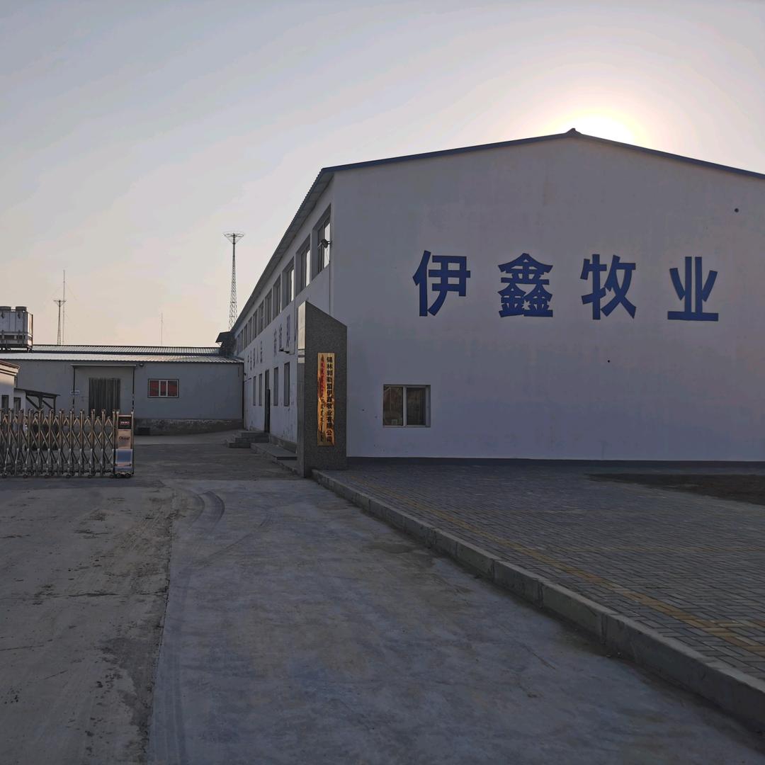 伊鑫牧业