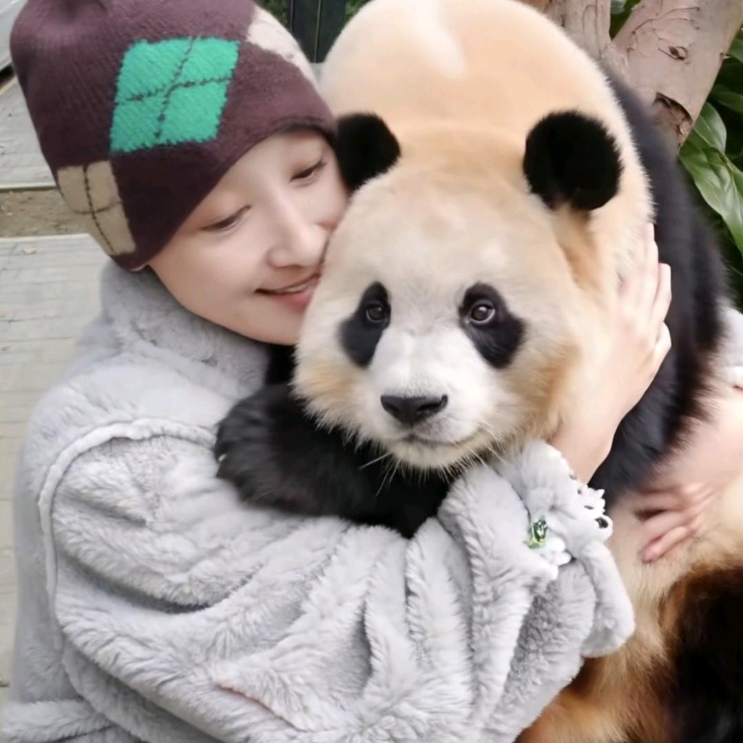 猫姐🐼