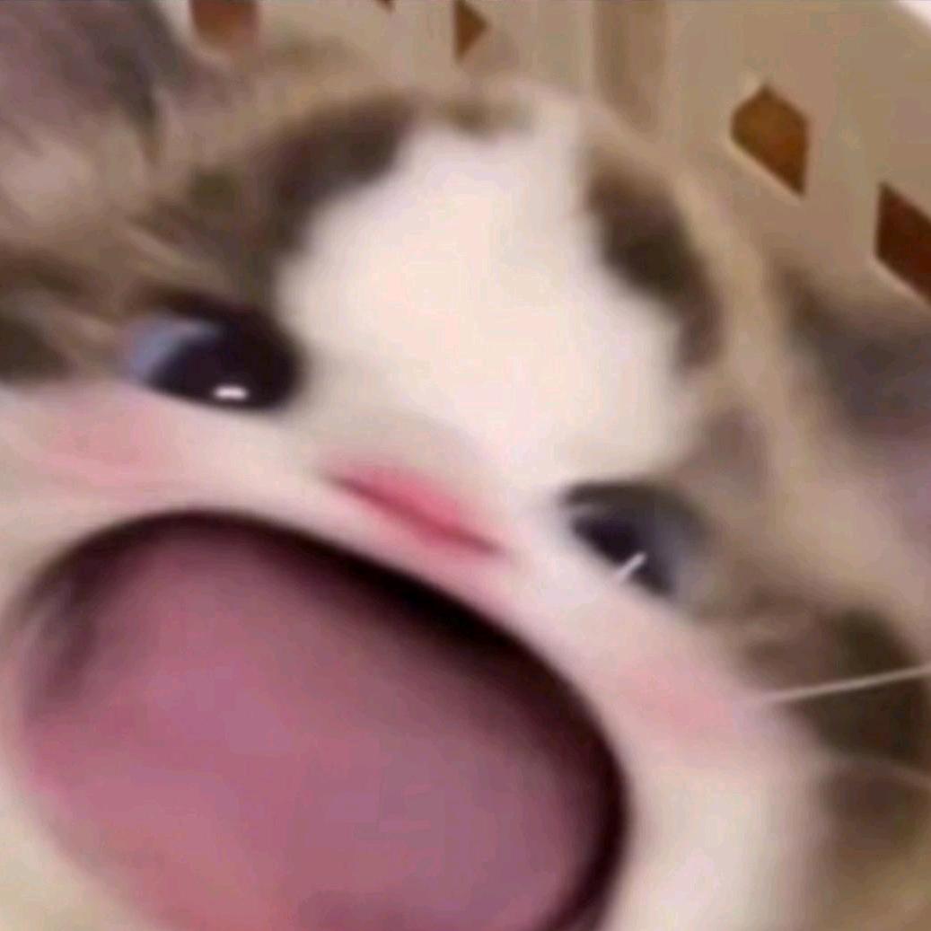 予她、