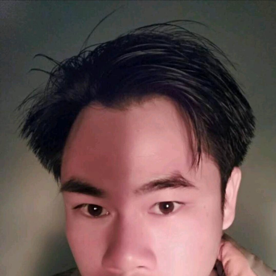 犬马江湖