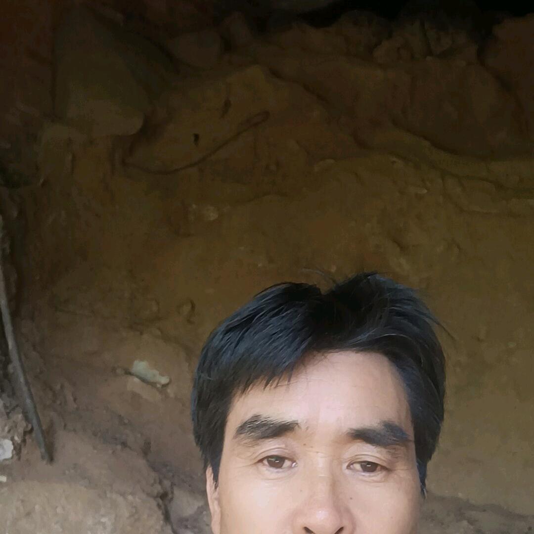 难忘记忆