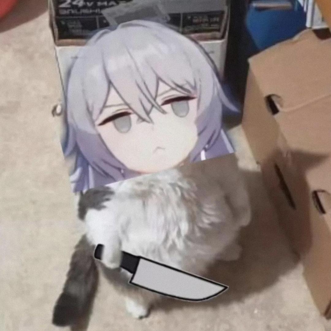 小肥楊