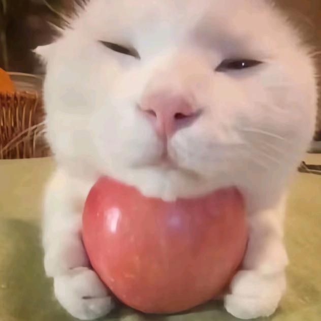 悦悦子💜