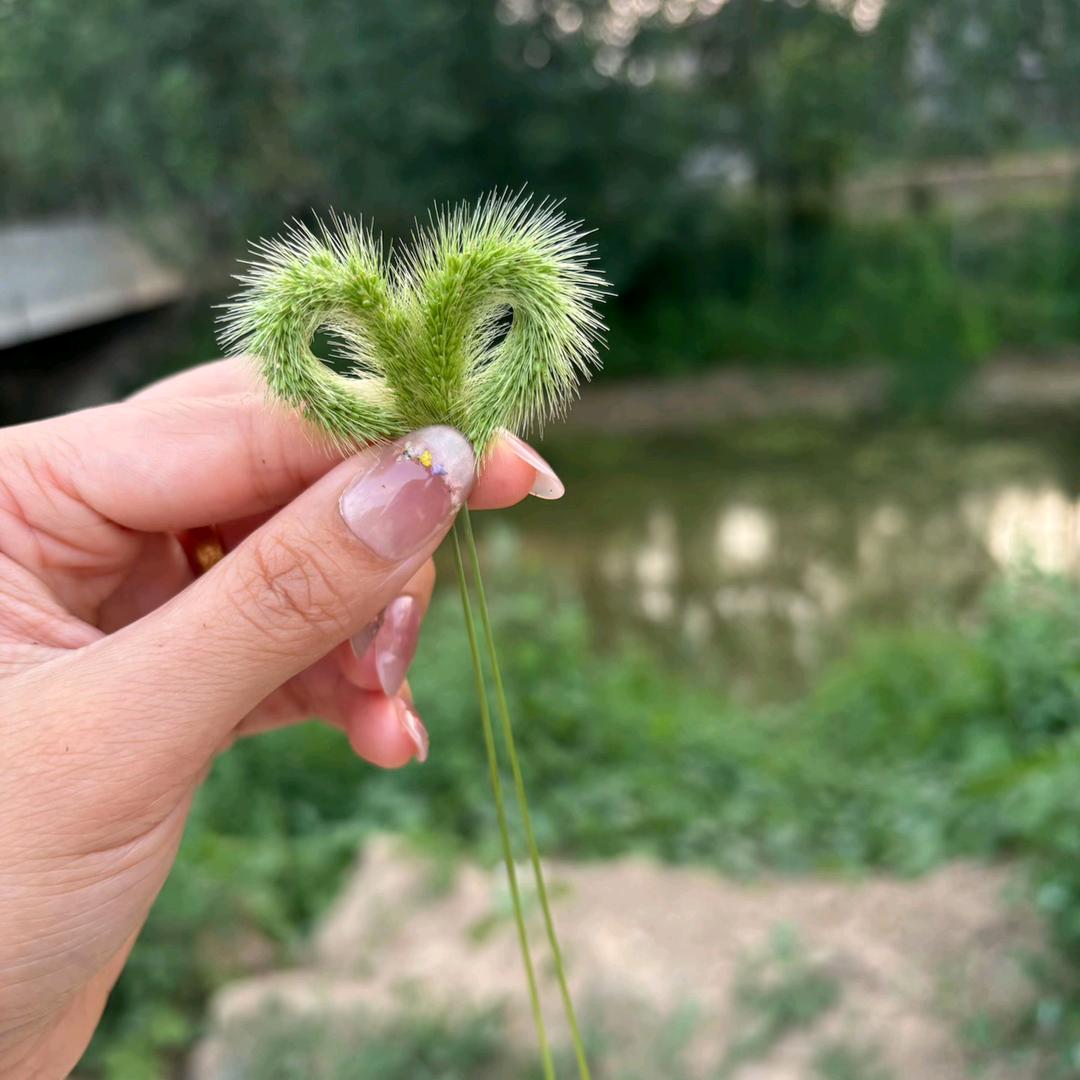 一碗🌹罗蛳粉