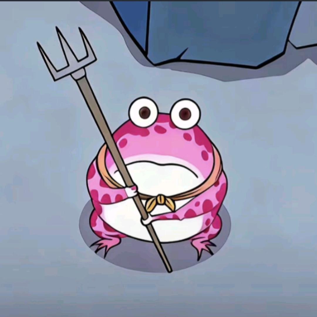 赵赵