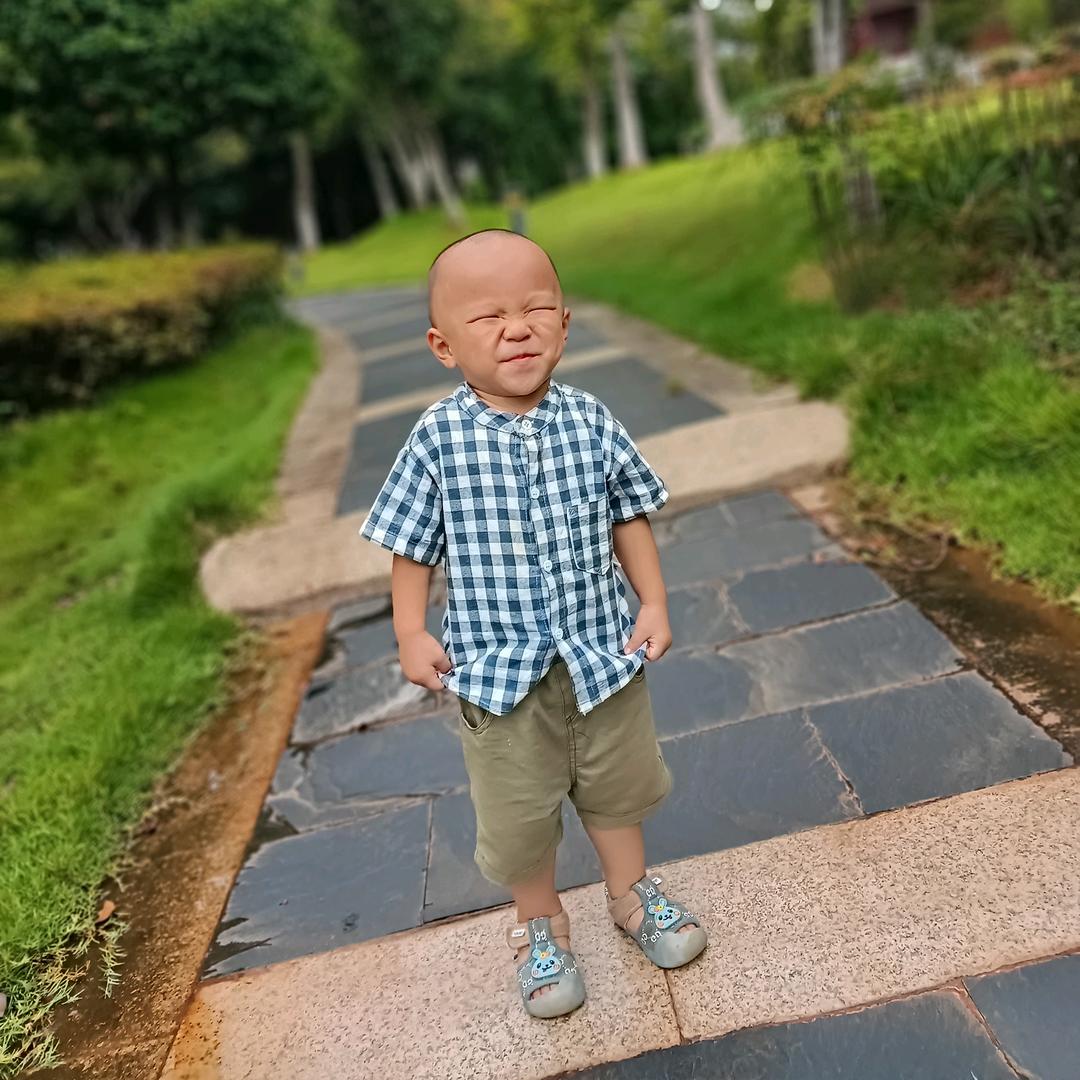 谢家二小姐