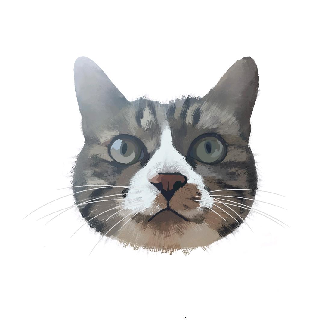 宁