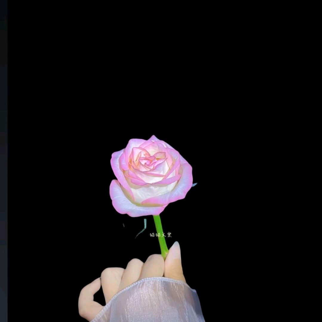 ໑ຼₒ₂₃ღ᭄岁月静好🕊꧔ꦿ᭄💞