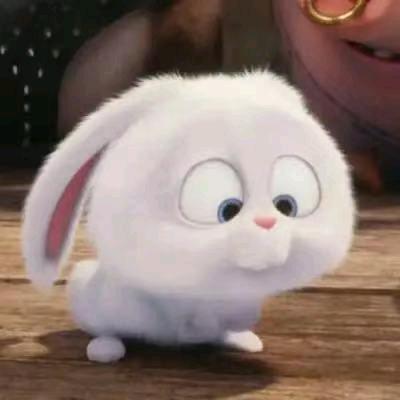 爱吃金子的太阳