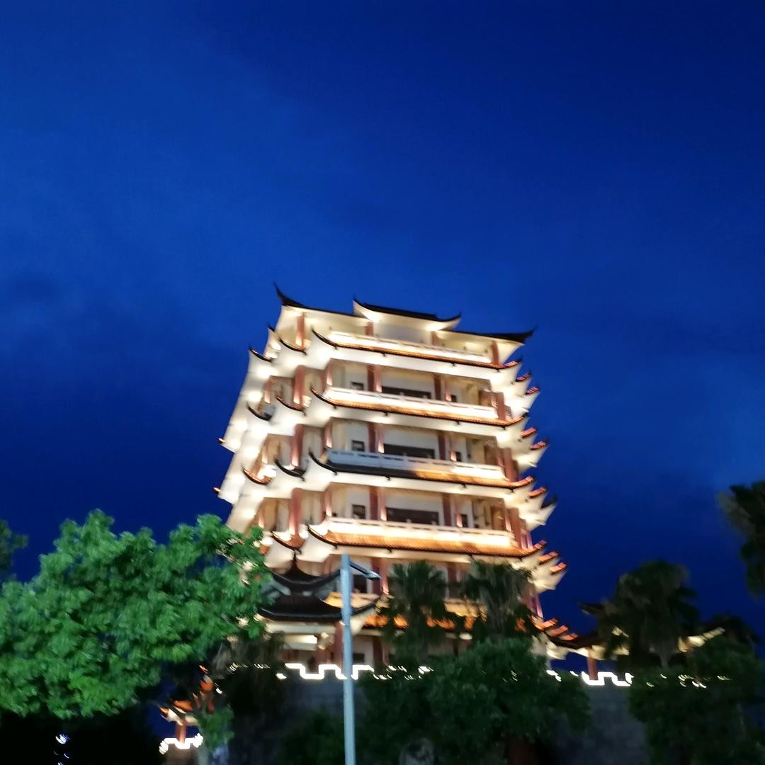 蜥蜴9877