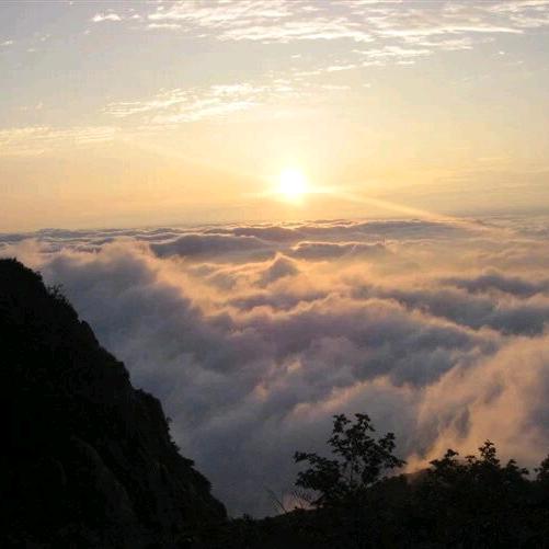 ㅤ ⃝   ⃝   ⃝⃝   ⃝⃝ʀs⁷