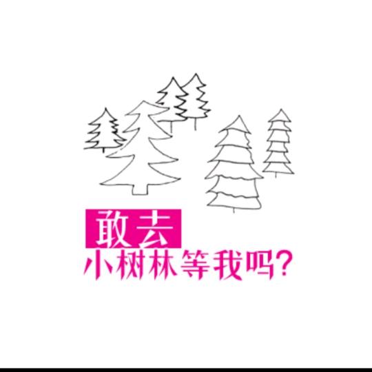 我在小森林吃过亏